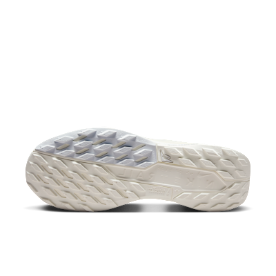 Nike Pegasus Trail 5 GORE TEX