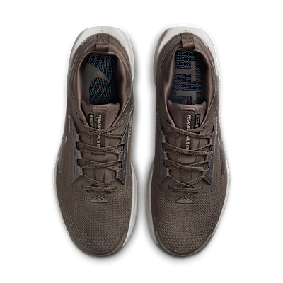 Nike Pegasus Trail 5 GORE TEX
