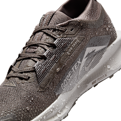 Nike Pegasus Trail 5 GORE TEX