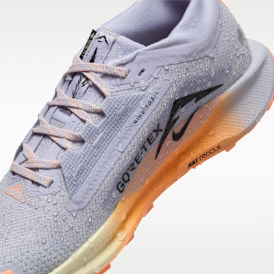 Nike Pegasus Trail 5 GORE TEX