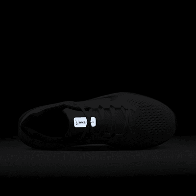 Nike Winflo 11