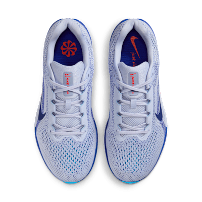 Nike Winflo 11