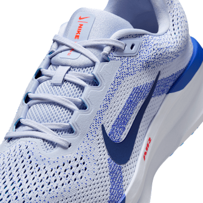 Nike Winflo 11