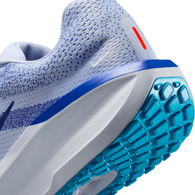 Nike Winflo 11