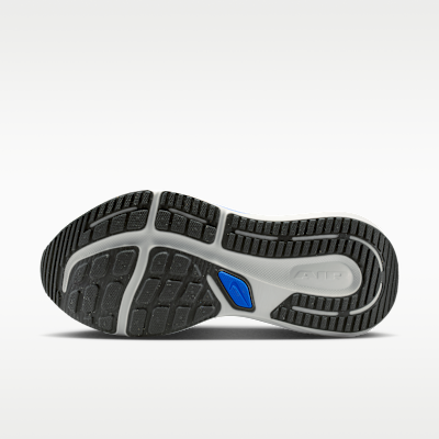 Nike Winflo 12