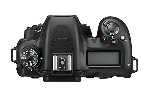 Nikon D7500 DX Format Digital SLR Body