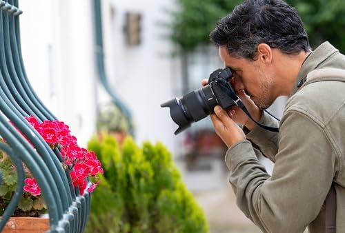 Nikon NIKKOR Z 50mm f/1 4