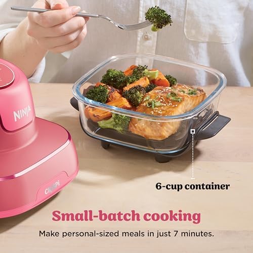 Ninja Crispi 4 in 1 Portable Glass Air Fryer Cooking System  1500W  4QT & 6 Cup TempWare Glass Containers with Storage Lids  Microwave  Freezer & Dishwasher Safe  Cyberspace Gray  FN101GY