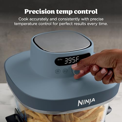 Ninja Crispi Pro 6 in 1 Glass Air Fryer   450 F  Nontoxic  6qt & 2 5qt Containers & Lids   Microwave  Freezer  Dishwasher Safe   Max Crisp  Air Fry  Bake  Roast  Recrisp  Dehydrate  Cyberspace AS101CY