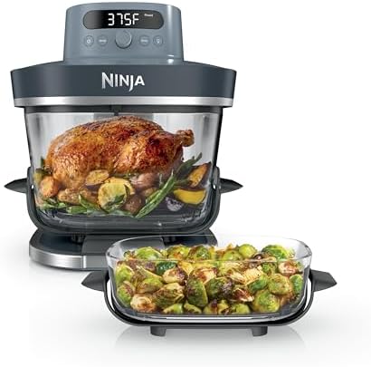 Ninja Crispi Pro 6 in 1 Glass Air Fryer   450 F  Nontoxic  6qt & 2 5qt Containers & Lids   Microwave  Freezer  Dishwasher Safe   Max Crisp  Air Fry  Bake  Roast  Recrisp  Dehydrate  Cyberspace AS101CY