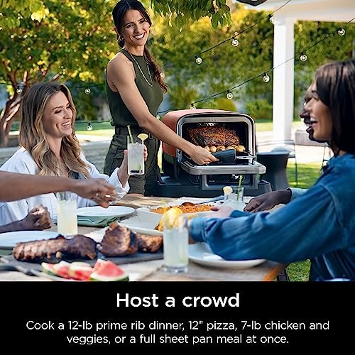 Ninja Woodfire Outdoor Pizza Oven  8 in 1 Portable Electric Roaster Oven  Heats up to 700 F  5 Artisan Pizza Settings  Integrated BBQ Smoker Box  Includes Flavored Wood Pellets  Terracotta Red