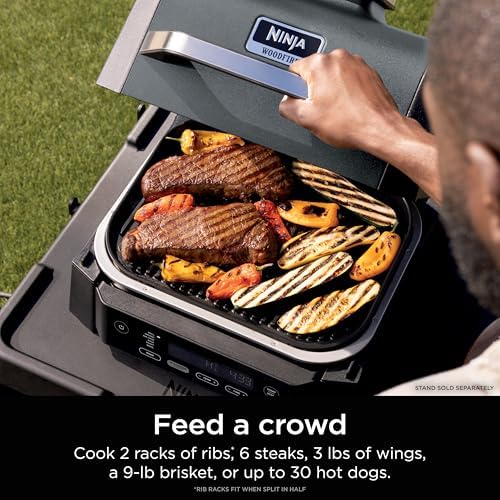 Ninja Woodfire Outdoor Grill & Smoker  6 in 1 Functionality  Grill  Smoke  Bake  Roast  Air Fry  Broil  Authentic Woodfire Flavors  Electric Heat  OG321