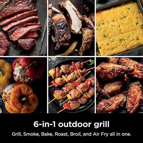 Ninja Woodfire Outdoor Grill & Smoker  6 in 1 Functionality  Grill  Smoke  Bake  Roast  Air Fry  Broil  Authentic Woodfire Flavors  Electric Heat  OG321