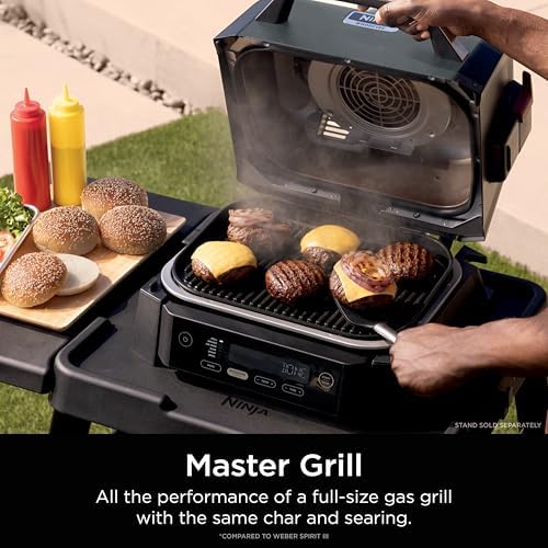 Ninja Woodfire Outdoor Grill & Smoker  6 in 1 Functionality  Grill  Smoke  Bake  Roast  Air Fry  Broil  Authentic Woodfire Flavors  Electric Heat  OG321