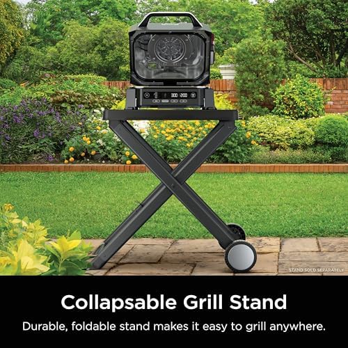 Ninja Woodfire Outdoor Grill & Smoker  6 in 1 Functionality  Grill  Smoke  Bake  Roast  Air Fry  Broil  Authentic Woodfire Flavors  Electric Heat  OG321