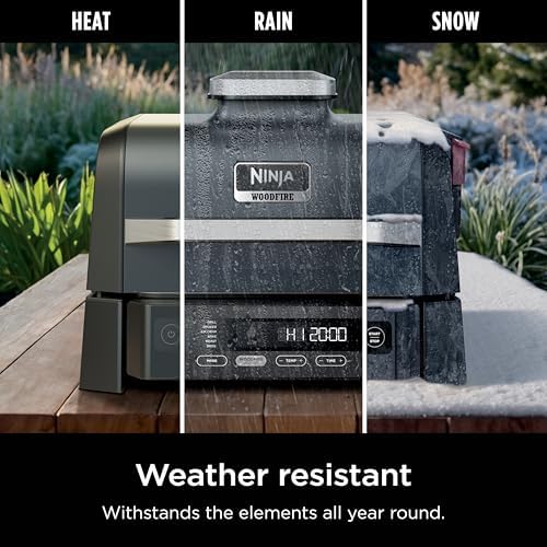 Ninja Woodfire Outdoor Grill & Smoker  6 in 1 Functionality  Grill  Smoke  Bake  Roast  Air Fry  Broil  Authentic Woodfire Flavors  Electric Heat  OG321