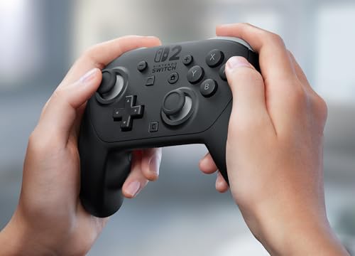 Nintendo Switch  2 Pro Controller