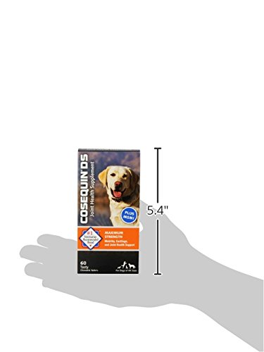 Nutramax Cosequin Maximum Strength Joint Health Supplement for Dogs   With Glucosamine  Chondroitin  and MSM  60 Chewable Tablets