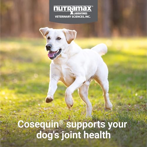 Nutramax Cosequin Maximum Strength Joint Health Supplement for Dogs   With Glucosamine  Chondroitin  and MSM  60 Chewable Tablets
