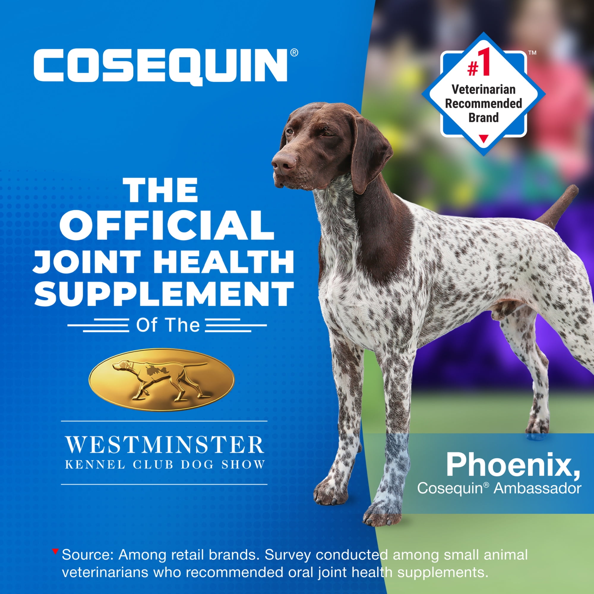 Nutramax Cosequin for Small Dogs  Joint Health Supplement  Soft Chews  45 Count