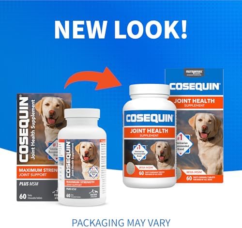 Nutramax Cosequin for Dogs Joint Health Supplement  Contains Glucosamine for Dogs  Plus Chondroitin and MSM  Supports Healthy Joints  Chewable Tablets  250 Count