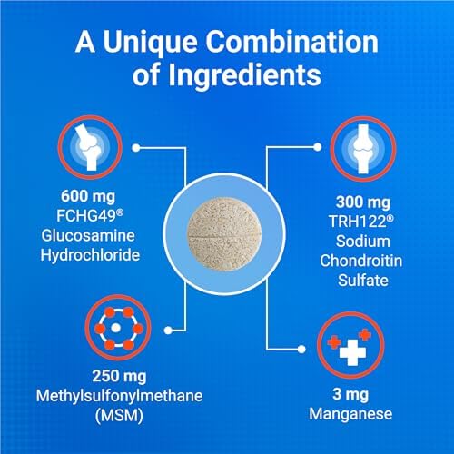 Nutramax Cosequin for Dogs Joint Health Supplement  Contains Glucosamine for Dogs  Plus Chondroitin and MSM  Supports Healthy Joints  Chewable Tablets  250 Count