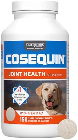 Nutramax Cosequin for Dogs Joint Health Supplement  Contains Glucosamine for Dogs  Plus Chondroitin and MSM  Supports Healthy Joints  Chewable Tablets  250 Count