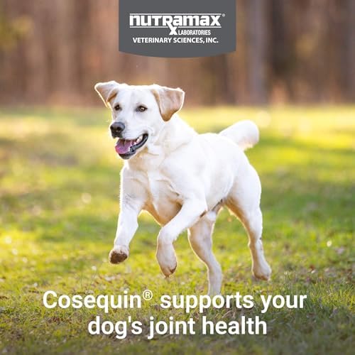 Nutramax Cosequin for Dogs Joint Health Supplement  Contains Glucosamine for Dogs  Plus Chondroitin and MSM  Supports Healthy Joints  Chewable Tablets  250 Count
