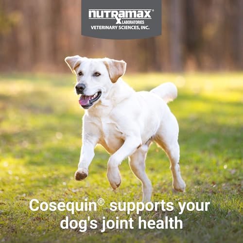 Nutramax Cosequin for Dogs Joint Health Supplement  Contains Glucosamine for Dogs  Plus Chondroitin and MSM  Supports Healthy Joints  Chewable Tablets  250 Count