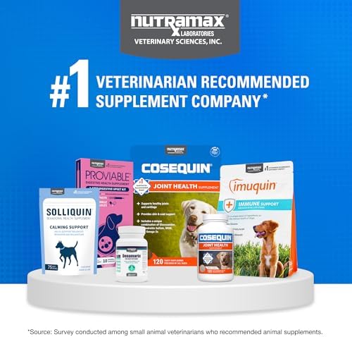 Nutramax Cosequin for Dogs Joint Health Supplement  Contains Glucosamine for Dogs  Plus Chondroitin and MSM  Supports Healthy Joints  Chewable Tablets  250 Count