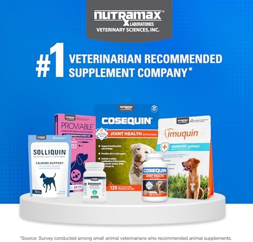 Nutramax Cosequin for Dogs Joint Health Supplement  Contains Glucosamine for Dogs  Plus Chondroitin and MSM  Supports Healthy Joints  Chewable Tablets  250 Count