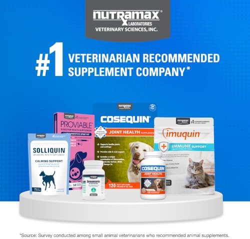 Nutramax Cosequin for Dogs Joint Health Supplement  Contains Glucosamine for Dogs  Plus Chondroitin  MSM and HA  Supports Healthy Joints  Chewable Tablets  150 Count