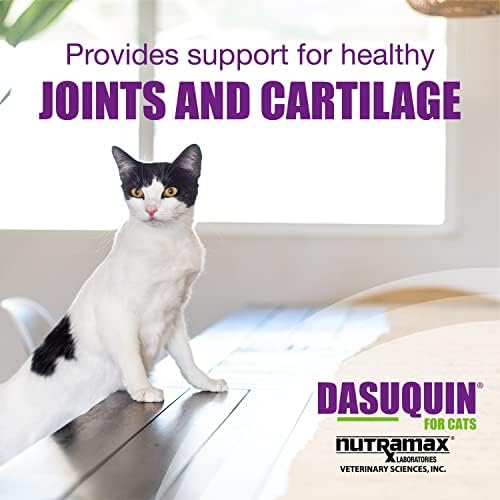 Nutramax Dasuquin Joint Health Supplement for Cats   with Glucosamine  Chondroitin  ASU  Boswellia Serrata Extract  Green Tea Extract  and Omega 3  84 Soft Chews  Pack of 2 