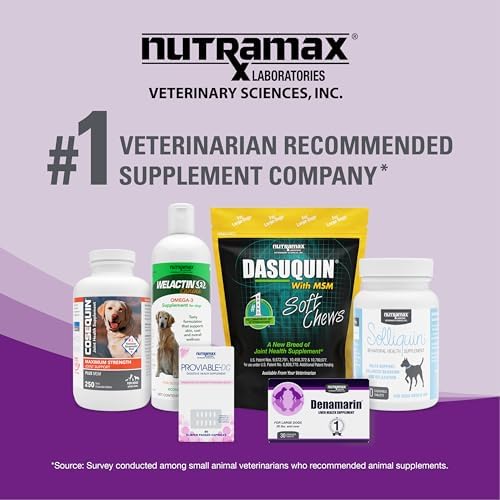 Nutramax Dasuquin Joint Health Supplement for Cats   with Glucosamine  Chondroitin  ASU  Boswellia Serrata Extract  Green Tea Extract  and Omega 3  84 Soft Chews  Pack of 2 