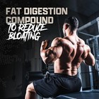 Nutrex 100  WHEY Protein Powder Bulk Size Whey Isolate Blend 128 Servings 10 LB