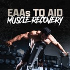 Nutrex 100  WHEY Protein Powder Bulk Size Whey Isolate Blend 128 Servings 10 LB