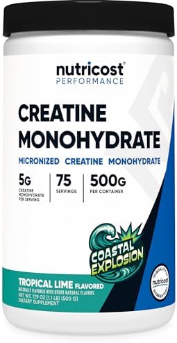 Nutricost Creatine Monohydrate Powder  Fruit Punch  500 Gram   Pack of 2 