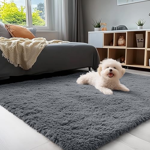 OLANLY Area Rugs for Living Room Bedroom  Machine Washable 4x5 9 ft Soft Fluffy Shaggy Bedside Rug  Indoor Floor Carpet for Kids Girls and Boys  Dorms  Nursery Rooms  Home Decor Aesthetic  Grey