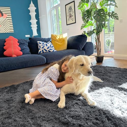OLANLY Area Rugs for Living Room Bedroom  Machine Washable 4x5 9 ft Soft Fluffy Shaggy Bedside Rug  Indoor Floor Carpet for Kids Girls and Boys  Dorms  Nursery Rooms  Home Decor Aesthetic  Grey