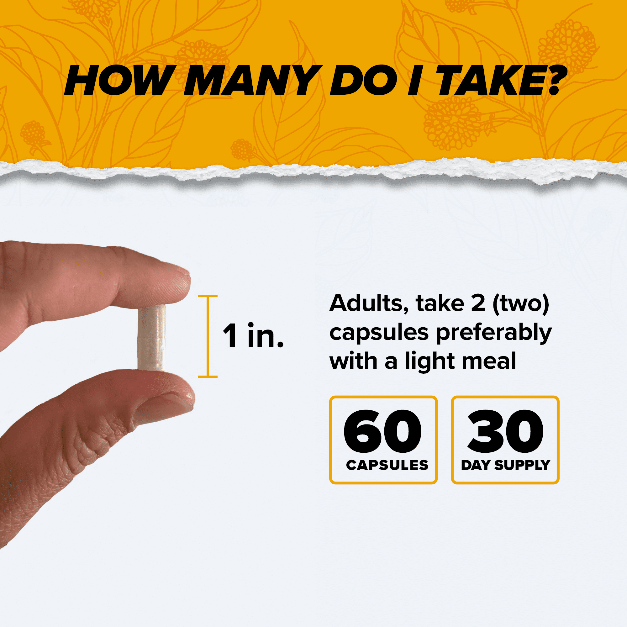 ONNIT Alpha BRAIN Suplemento Nootrópico Premium para la Salud Del Cerebro, Apoyo a la Memoria y el Enfoque, 60 Unidades