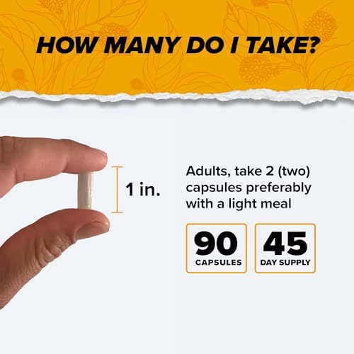 ONNIT Alpha Brain Nootropic Brain Supplement for Focus  Memory  Mental Clarity  Cognitive Support with L Theanine and Vitamin B6  90 Count Capsules