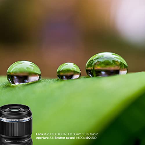 Olympus M  Zuiko Digital ED 30mm F3 5 Macro Lens  Suitable for All MFT Cameras  Olympus OM D & Pen Models  Panasonic G Series   Black