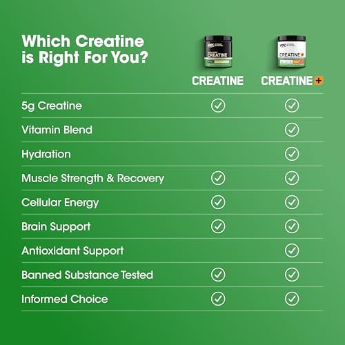 Optimum Nutrition Creatine  Micronized Creatine Monohydrate Powder  Supports Strength & Recovery  Banned Substance Tested  Unflavored  5g per Serving  60 Servings