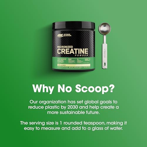 Optimum Nutrition Micronized Creatine Monohydrate Powder  Unflavored  240 Servings  1200 Grams  Packaging May Vary 