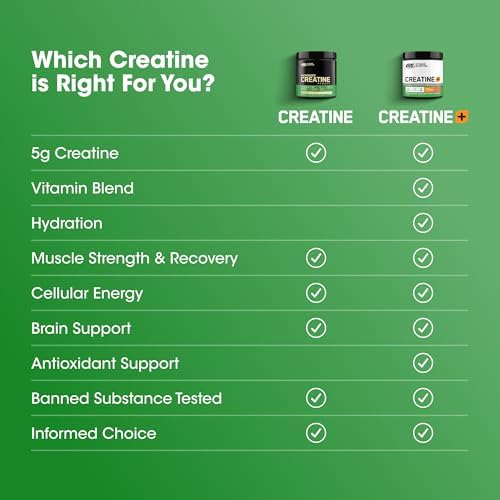 Optimum Nutrition Micronized Creatine Monohydrate Powder  Unflavored  120 Servings  600 Grams  Packaging May Vary