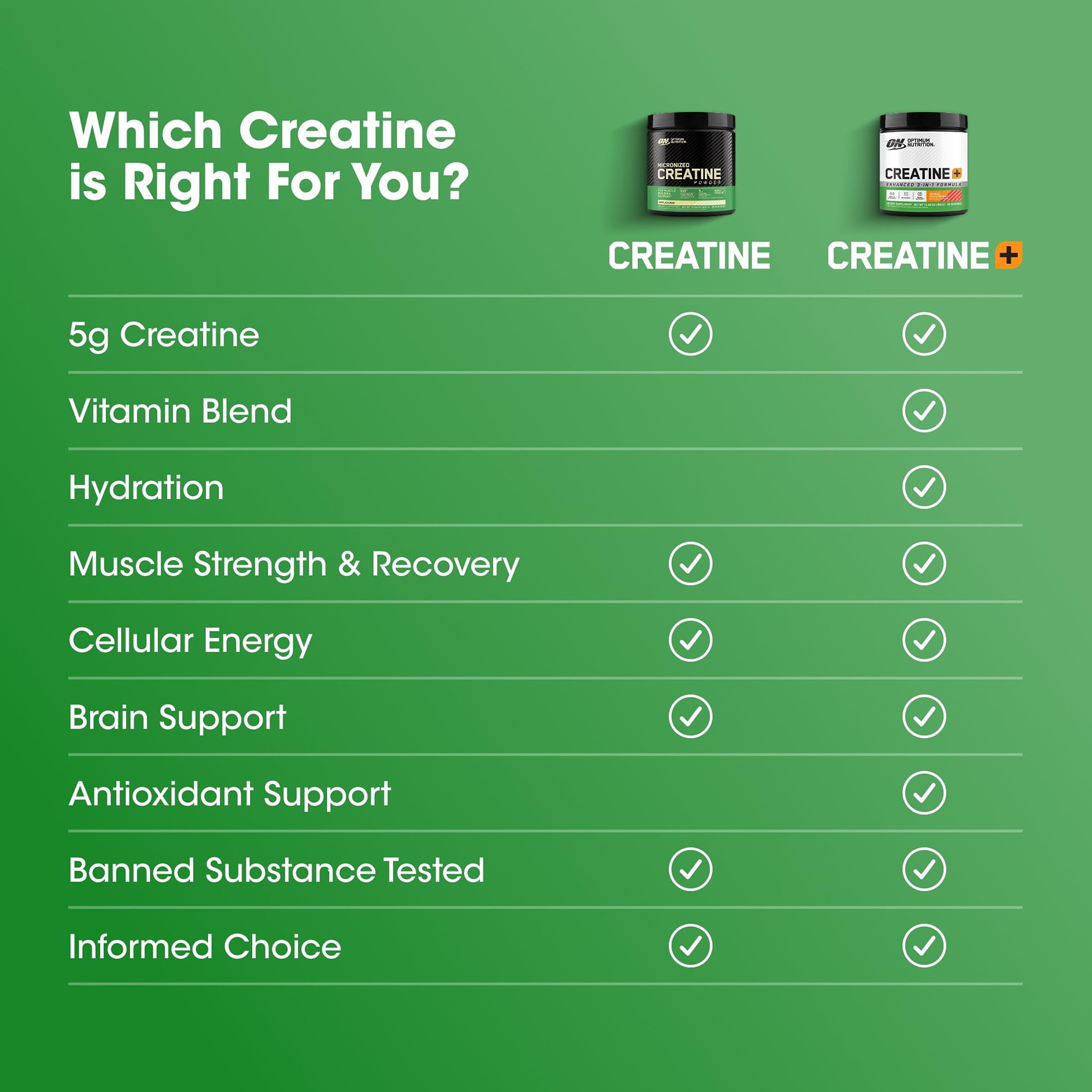 Optimum Nutrition Micronized Creatine Powder  120 Servings