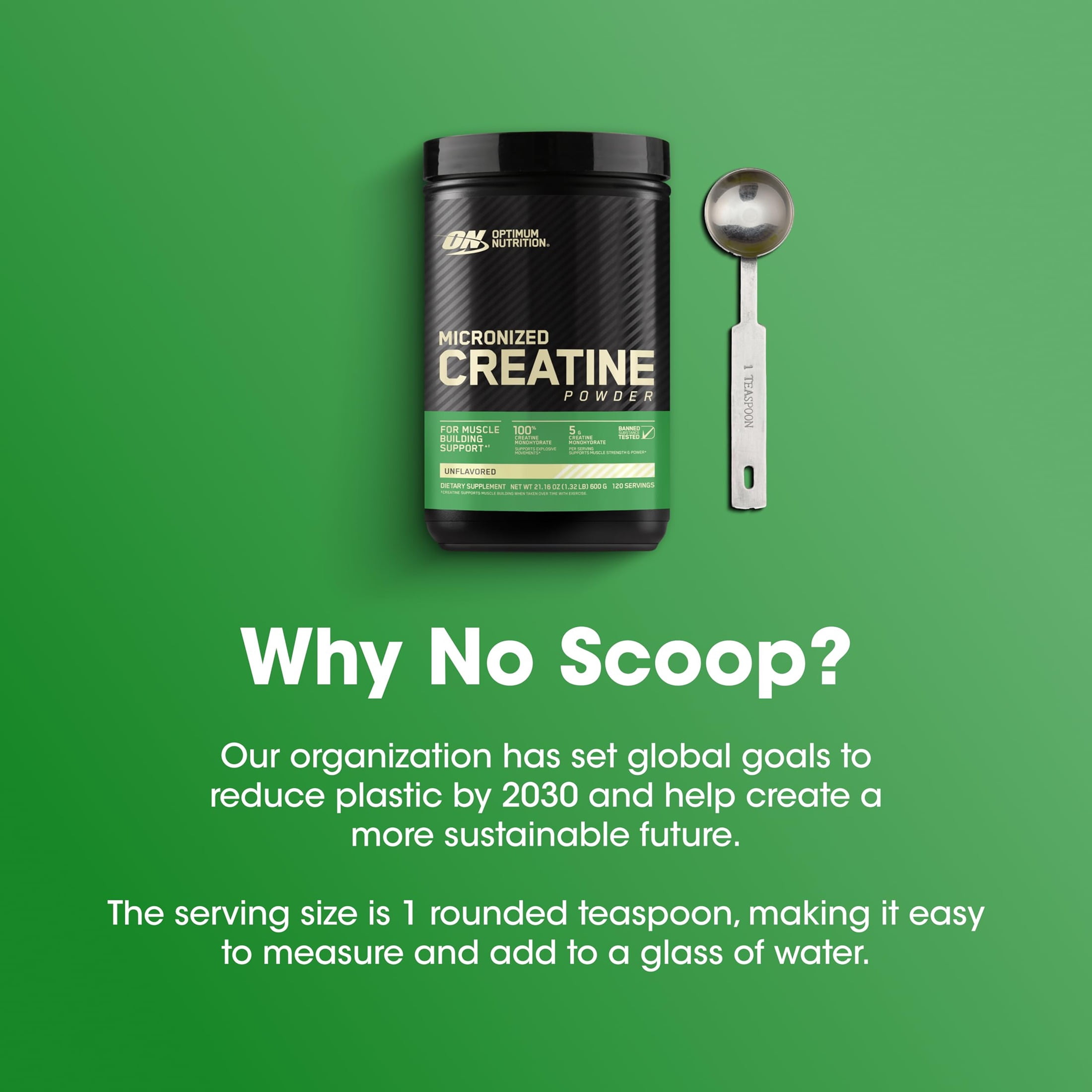 Optimum Nutrition Micronized Creatine Powder  120 Servings