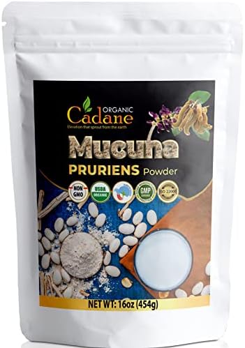 Organic Cadane Mucuna Pruriens Powder 1 Pound   Promotes Brain Health  Supports Immune System  Energy   USDA Certified Vegan Friendly Supplements   Pure Natural Velvet Beans Extract from India