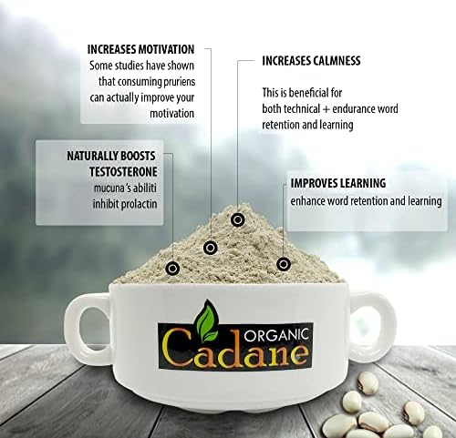 Organic Cadane Mucuna Pruriens Powder 1 Pound   Promotes Brain Health  Supports Immune System  Energy   USDA Certified Vegan Friendly Supplements   Pure Natural Velvet Beans Extract from India