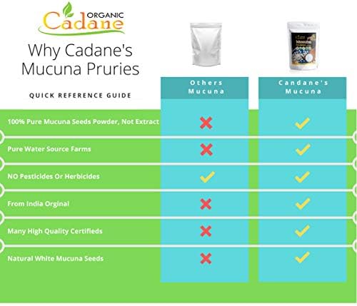 Organic Cadane Mucuna Pruriens Powder 1 Pound   Promotes Brain Health  Supports Immune System  Energy   USDA Certified Vegan Friendly Supplements   Pure Natural Velvet Beans Extract from India